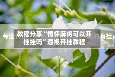 教程分享“情怀麻将可以开挂挂吗”透视开挂教程-第2张图片