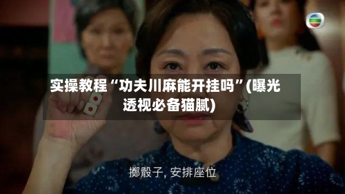 实操教程“功夫川麻能开挂吗	”(曝光透视必备猫腻)-第2张图片