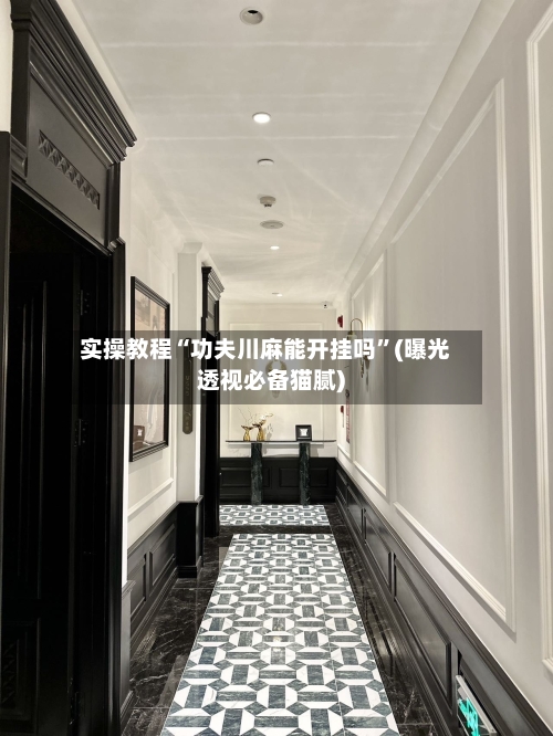 实操教程“功夫川麻能开挂吗”(曝光透视必备猫腻)