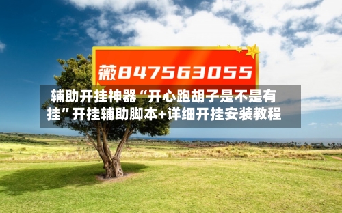 辅助开挂神器“开心跑胡子是不是有挂”开挂辅助脚本+详细开挂安装教程-第2张图片