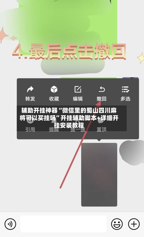辅助开挂神器“微信里的蜀山四川麻将可以买挂吗”开挂辅助脚本+详细开挂安装教程-第3张图片