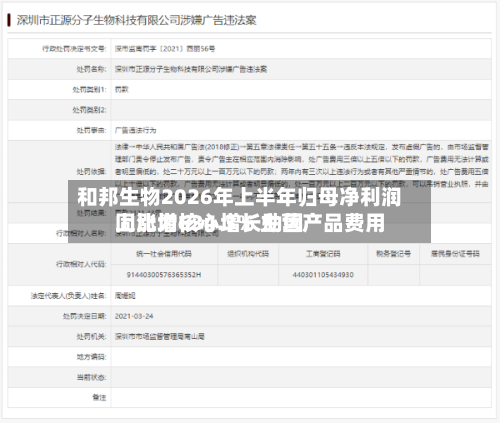 和邦生物2026年上半年归母净利润同比增634.3% 主营产品费用上涨为核心增长动因-第2张图片
