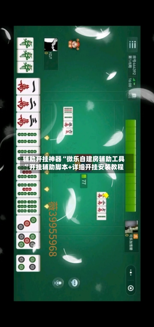 辅助开挂神器“微乐自建房辅助工具	”开挂辅助脚本+详细开挂安装教程-第2张图片