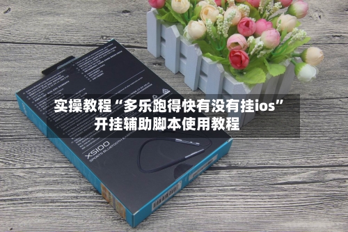 实操教程“多乐跑得快有没有挂ios	”开挂辅助脚本使用教程-第2张图片