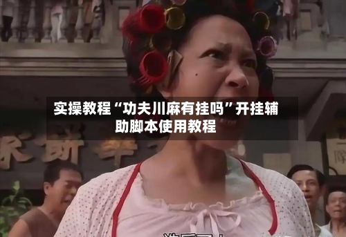 实操教程“功夫川麻有挂吗	”开挂辅助脚本使用教程-第2张图片