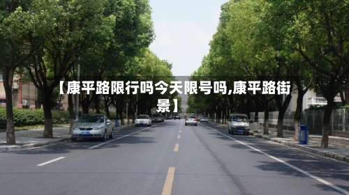 【康平路限行吗今天限号吗,康平路街景】