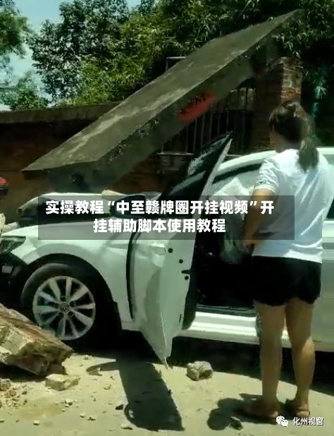 实操教程“中至赣牌圈开挂视频”开挂辅助脚本使用教程-第2张图片