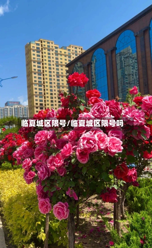 临夏城区限号/临夏城区限号吗-第3张图片