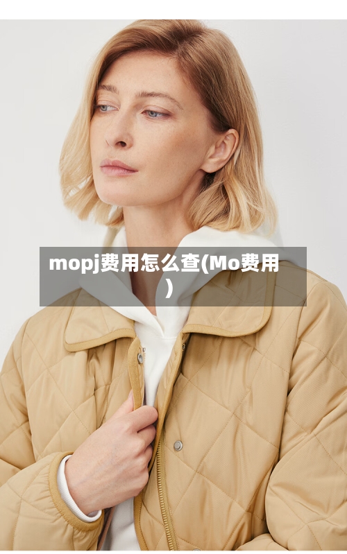 mopj费用怎么查(Mo费用)-第3张图片