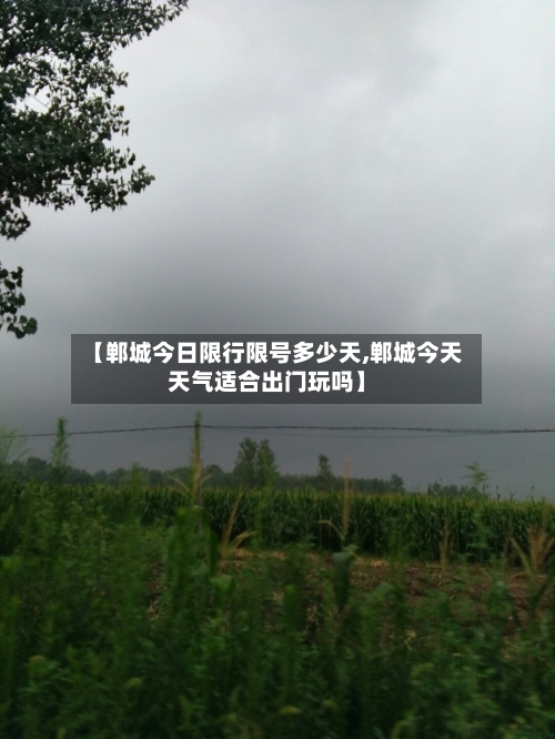 【郸城今日限行限号多少天,郸城今天天气适合出门玩吗】-第2张图片