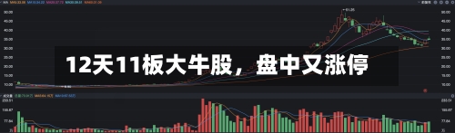 12天11板大牛股，盘中又涨停-第2张图片