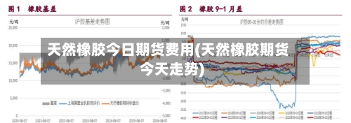 天然橡胶今日期货费用(天然橡胶期货今天走势)-第2张图片