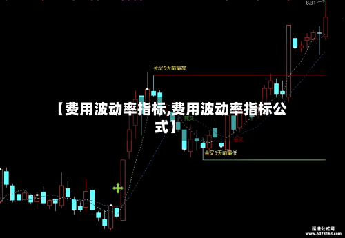 【费用波动率指标,费用波动率指标公式】