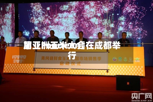 第〖Fourteen〗、届亚洲玉米大会在成都举行