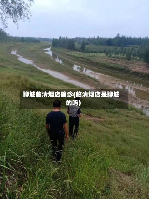 聊城临清烟店确诊(临清烟店是聊城的吗)-第2张图片