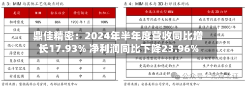 鼎佳精密：2024年半年度营收同比增长17.93% 净利润同比下降23.96%-第1张图片
