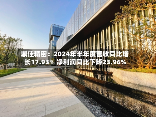 鼎佳精密：2024年半年度营收同比增长17.93% 净利润同比下降23.96%-第3张图片