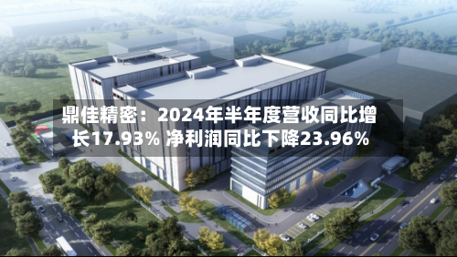 鼎佳精密：2024年半年度营收同比增长17.93% 净利润同比下降23.96%-第2张图片