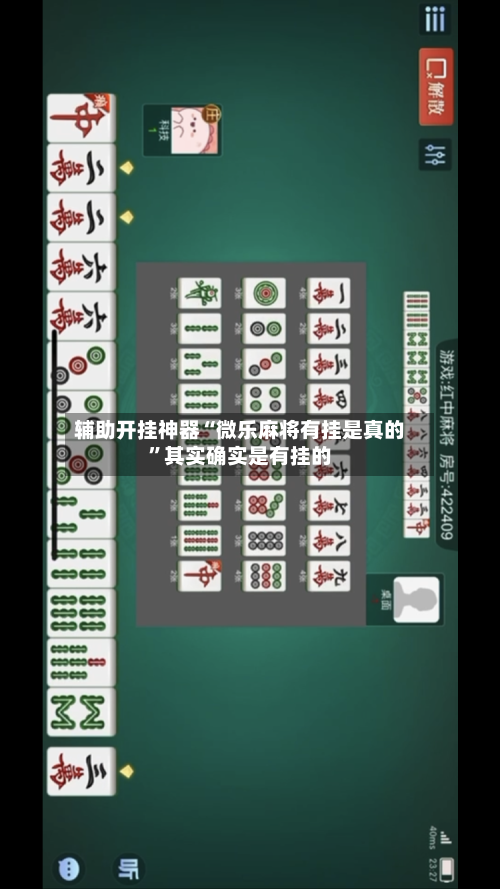 辅助开挂神器“微乐麻将有挂是真的”其实确实是有挂的-第1张图片