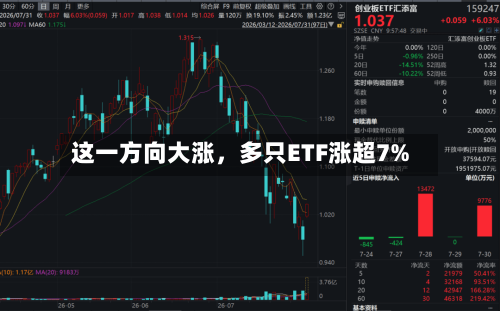 这一方向大涨，多只ETF涨超7%-第3张图片