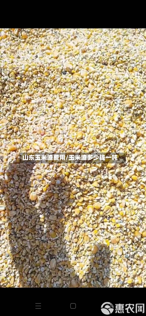山东玉米渣费用/玉米渣多少钱一吨