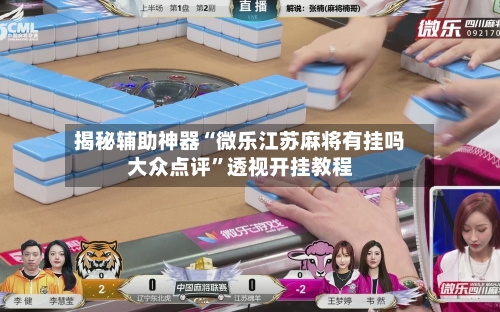 揭秘辅助神器“微乐江苏麻将有挂吗大众点评”透视开挂教程-第2张图片
