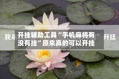 开挂辅助工具“手机麻将有没有挂”原来真的可以开挂-第3张图片
