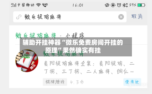 辅助开挂神器“微乐免费房间开挂的原理”果然确实有挂-第2张图片