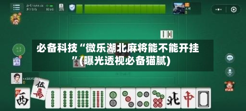 必备科技“微乐湖北麻将能不能开挂”(曝光透视必备猫腻)-第2张图片