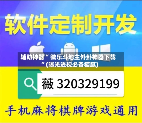 辅助神器“ 微乐斗地主外卦神器下载”(曝光透视必备猫腻)-第3张图片