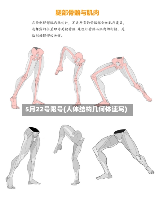 5月22号限号(人体结构几何体速写)-第3张图片