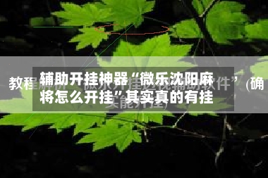辅助开挂神器“微乐沈阳麻将怎么开挂”其实真的有挂