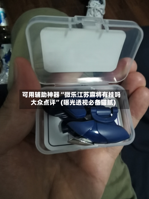 可用辅助神器“微乐江苏麻将有挂吗大众点评”(曝光透视必备猫腻)-第3张图片