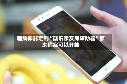 辅助神器定制“微乐亲友房辅助器”原来确实可以开挂-第2张图片