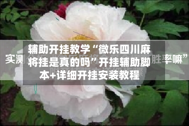 辅助开挂教学“微乐四川麻将挂是真的吗”开挂辅助脚本+详细开挂安装教程-第2张图片