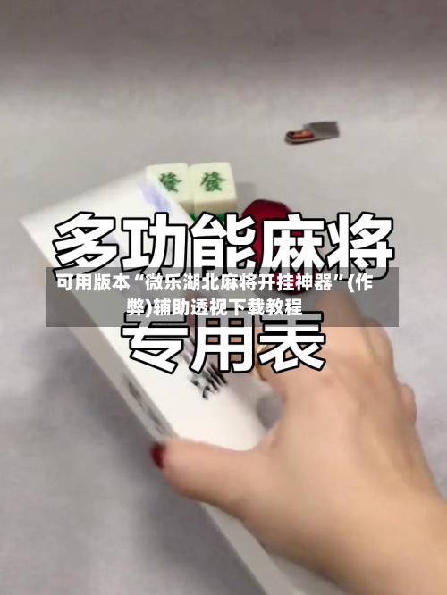 可用版本“微乐湖北麻将开挂神器”(作弊)辅助透视下载教程