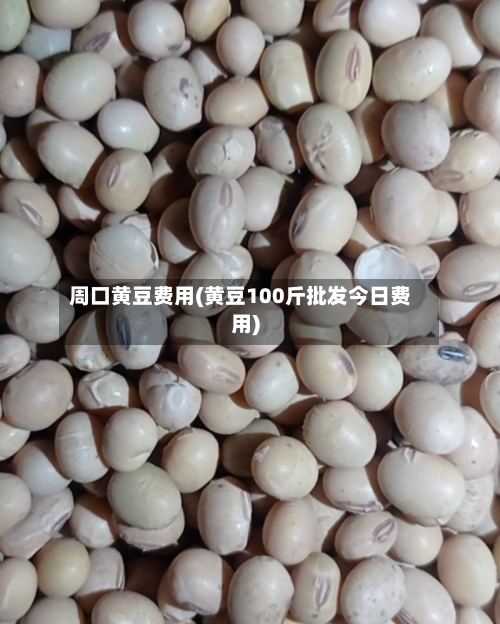 周口黄豆费用(黄豆100斤批发今日费用)