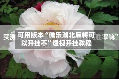 可用版本“微乐湖北麻将可以开挂不”透视开挂教程-第2张图片