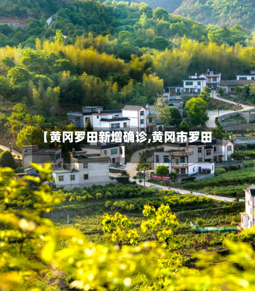 【黄冈罗田新增确诊,黄冈市罗田】
