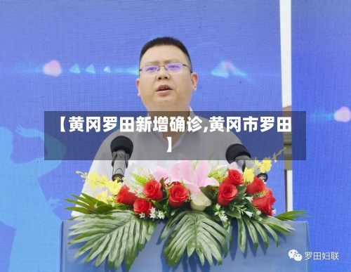 【黄冈罗田新增确诊,黄冈市罗田】-第2张图片