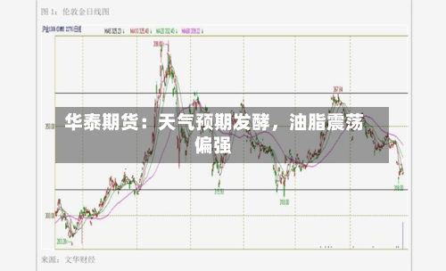 华泰期货：天气预期发酵，油脂震荡偏强-第2张图片