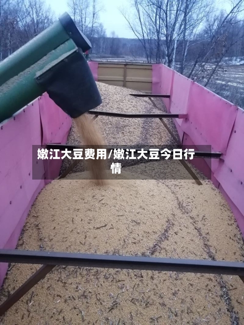 嫩江大豆费用/嫩江大豆今日行情