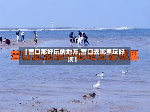 【营口那好玩的地方,营口去哪里玩好啊】