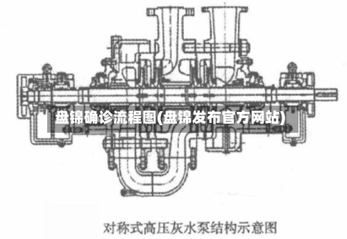 盘锦确诊流程图(盘锦发布官方网站)