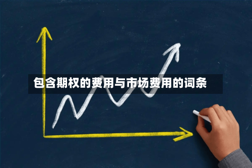 包含期权的费用与市场费用的词条