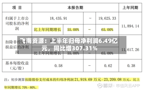 飞南资源：上半年归母净利润6.49亿元，同比增307.31%-第2张图片