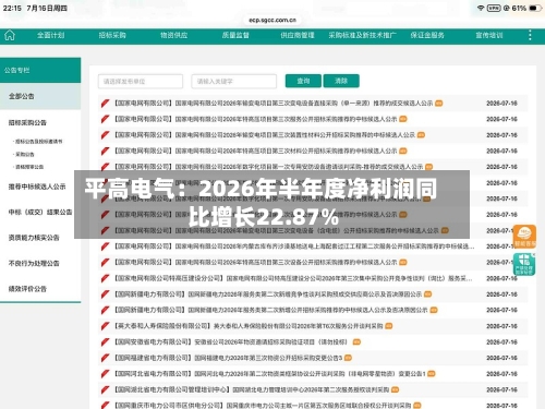 平高电气：2026年半年度净利润同比增长22.87%-第1张图片