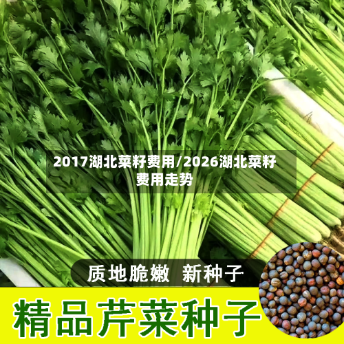 2017湖北菜籽费用/2026湖北菜籽费用走势-第2张图片