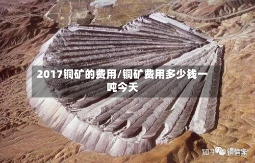 2017铜矿的费用/铜矿费用多少钱一吨今天