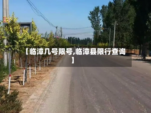 【临漳几号限号,临漳县限行查询】-第3张图片